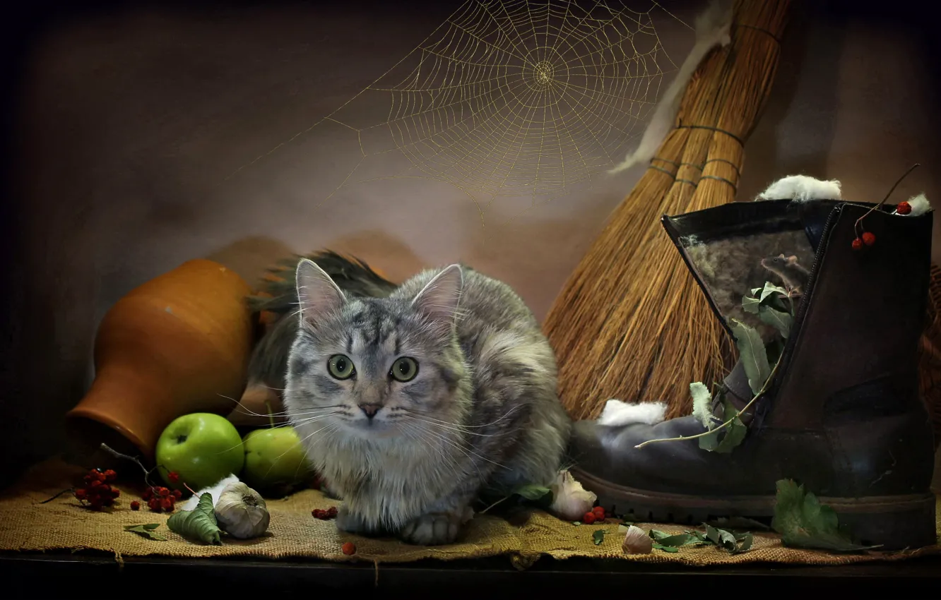 Фото обои кошка, кот, листья, животное, яблоки, паутина, мышь, мешковина