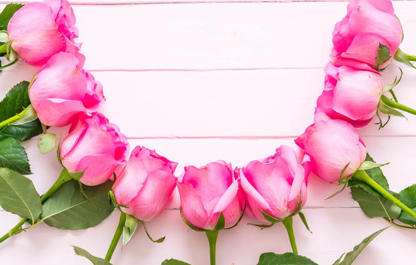 Фото обои цветы, розы, розовые, fresh, wood, pink, flowers, roses