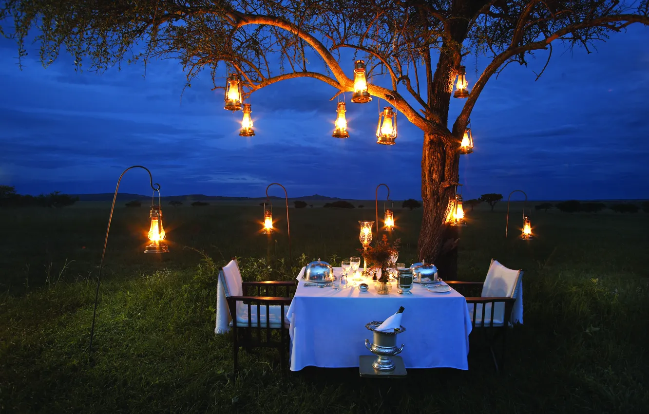 Фото обои лампы, романтика, вечер, саванна, Африка, шампанское, romantic, ужин