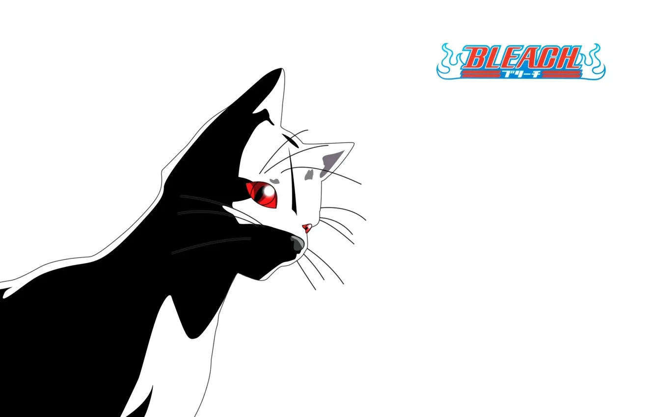 Фото обои усы, белый фон, Bleach, красные глаза, Блич, Shihouin Yoruichi, кошачьи ушки, черная кошка