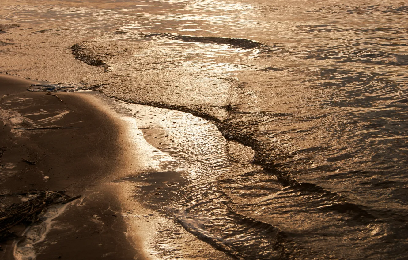 Фото обои песок, волны, пена, ветки, берег