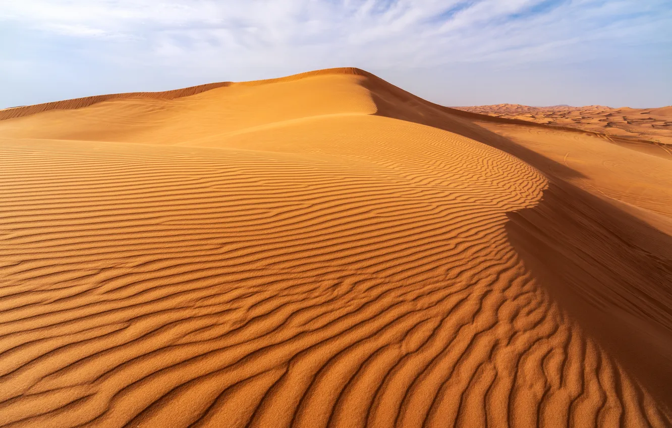 Фото обои desert, sand, heat