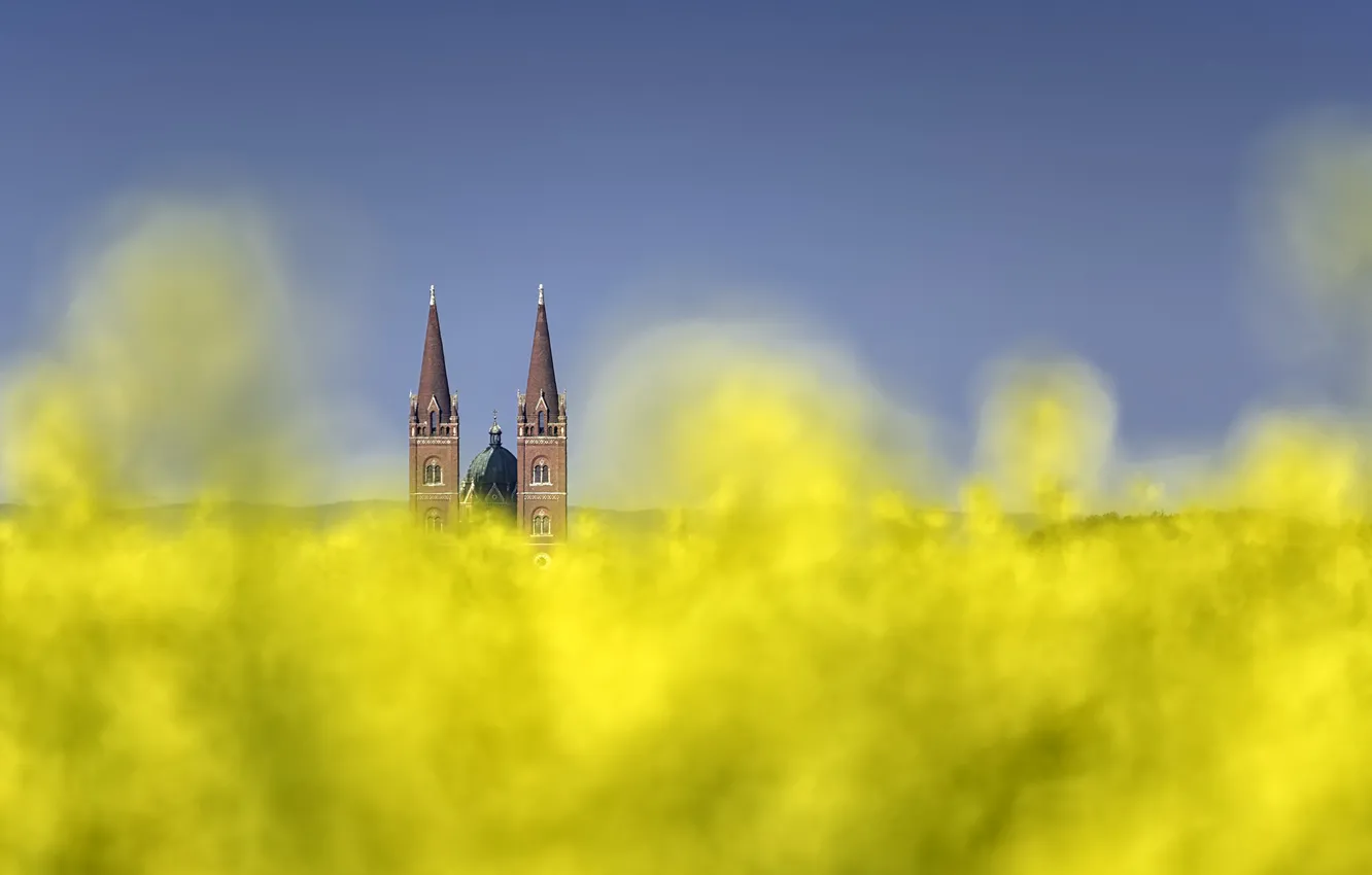Фото обои cathedral, flowers, bokeh, Croatia, towers, field of gold, Djakovo