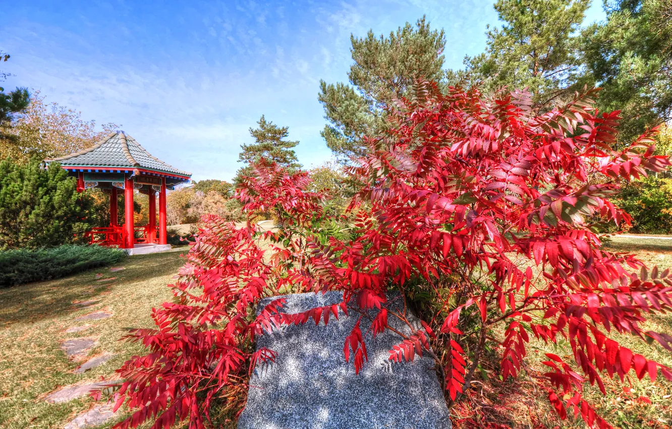 Фото обои осень, небо, листья, облака, камень, беседка, деревце, японский сад
