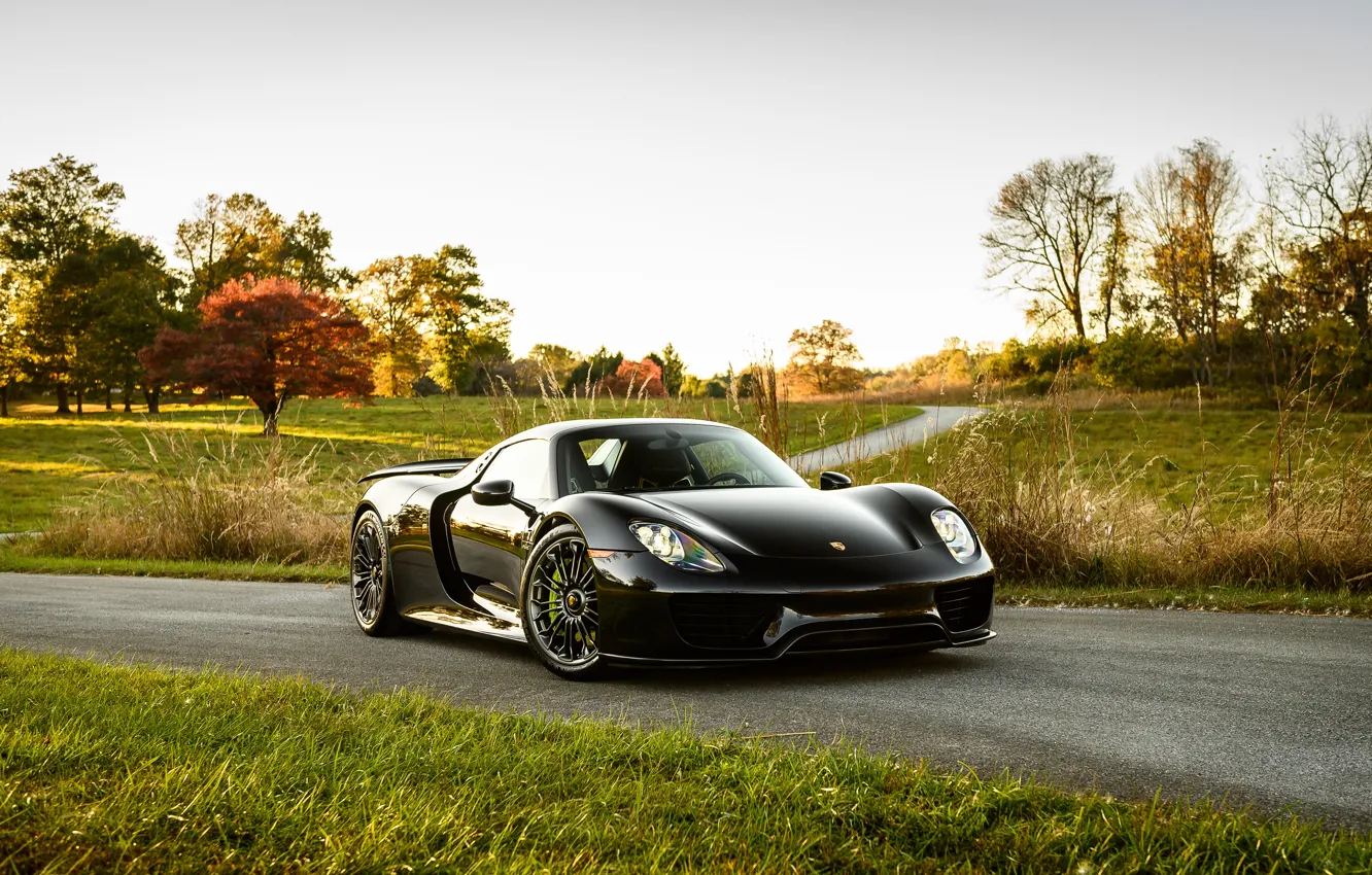 Фото обои Porsche, Green, 918, VAG, Sight, Gras