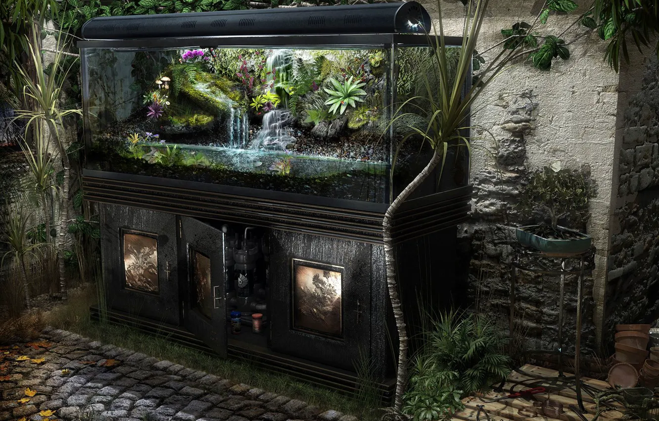 Фото обои реализм, аквариум, растения