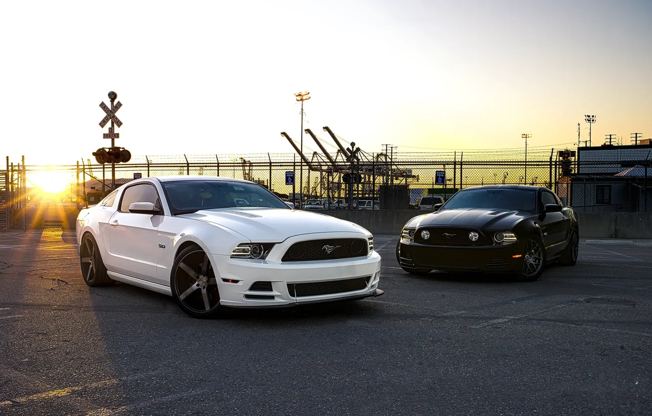 Фото обои белый, закат, чёрный, mustang, мустанг, ограждение, white, ford