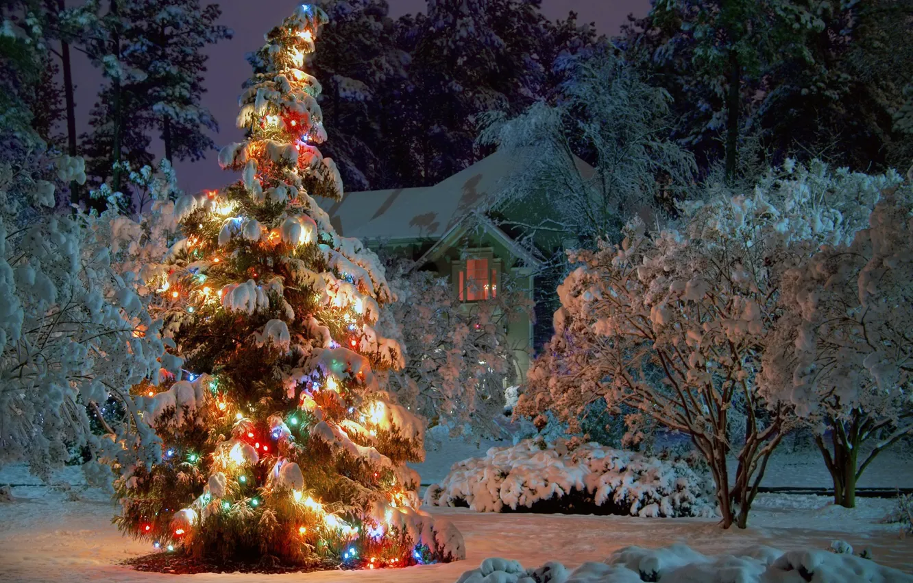 Фото обои снег, деревья, огни, дом, праздник, елка, новый год