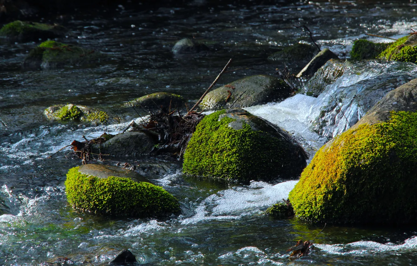 Фото обои river, water, stones, moss