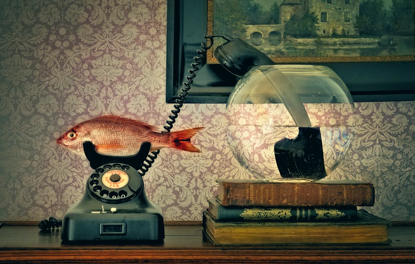Фото обои аквариум, трубка, рыба, телефон