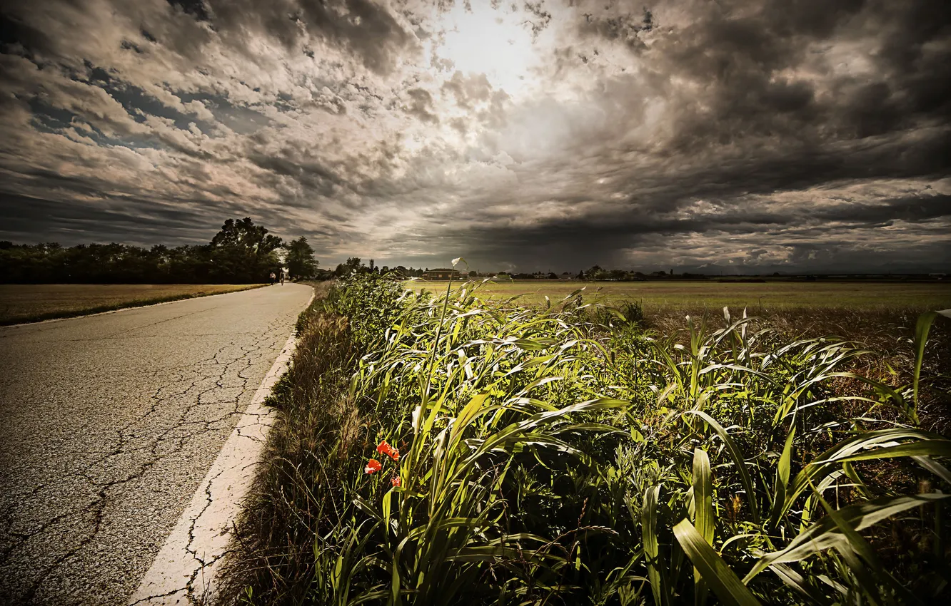 Фото обои дорога, небо, трава