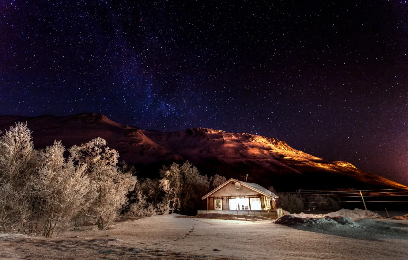 Фото обои зима, небо, звезды, свет, снег, деревья, горы, ночь