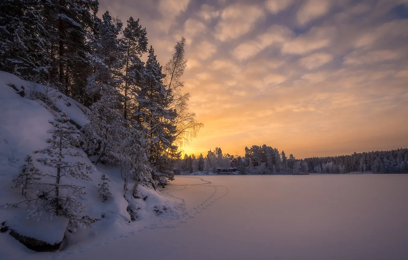 Фото обои зима, лес, снег, деревья, следы, рассвет, утро, Финляндия