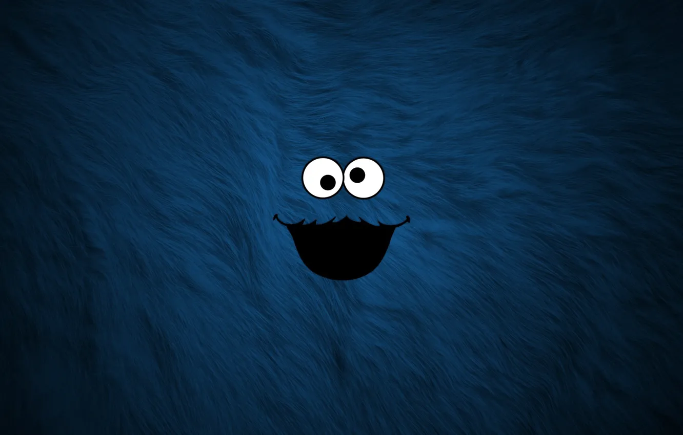 Фото обои синий, мех, рожа, cookie Monster