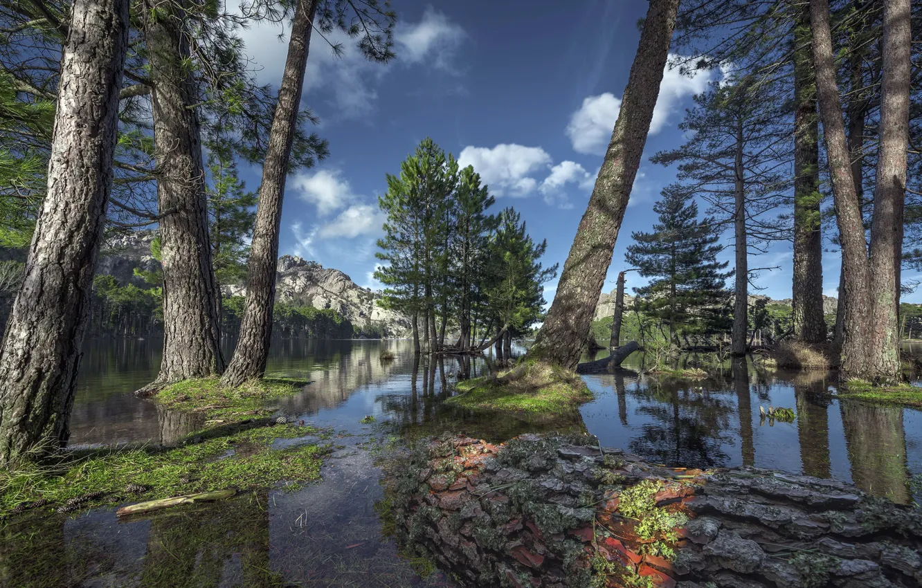 Фото обои деревья, горы, озеро