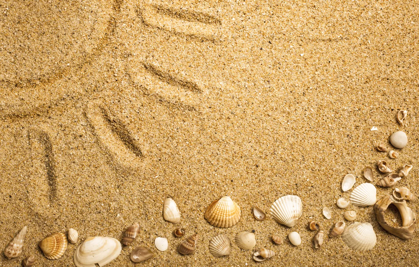 Фото обои beach, texture, sand, marine, seashells, песок ракушки