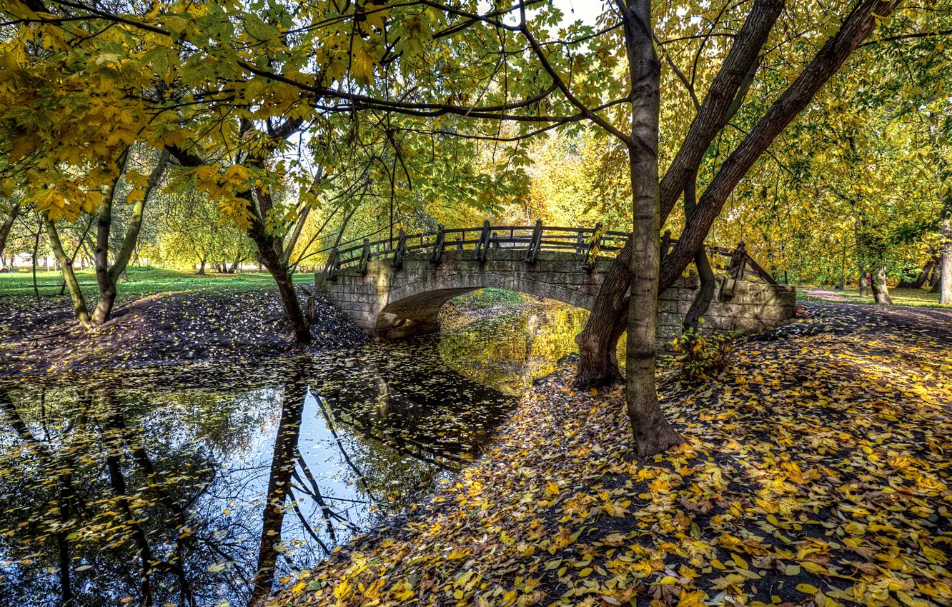 Фото обои осень, мост, листва, Санкт-Петербург, Ekaterinhof