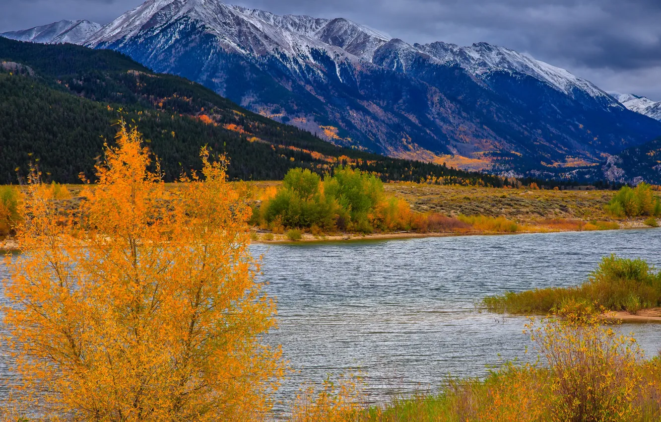 Фото обои осень, деревья, горы, река, Колорадо, США, Аспен