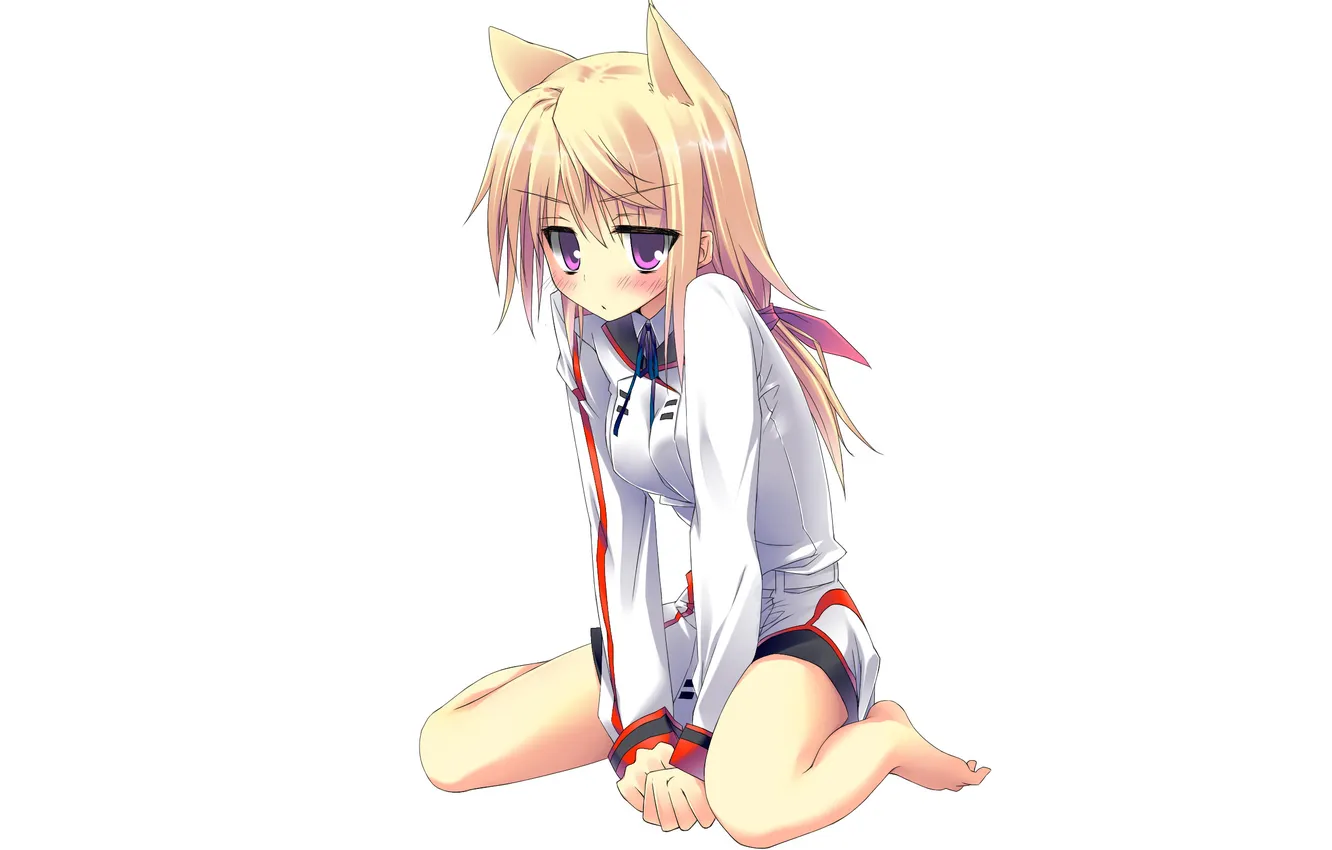 Фото обои Art, Neko, Charles Dunois, Infinite Stratos, Blonde hair, Purple eyes