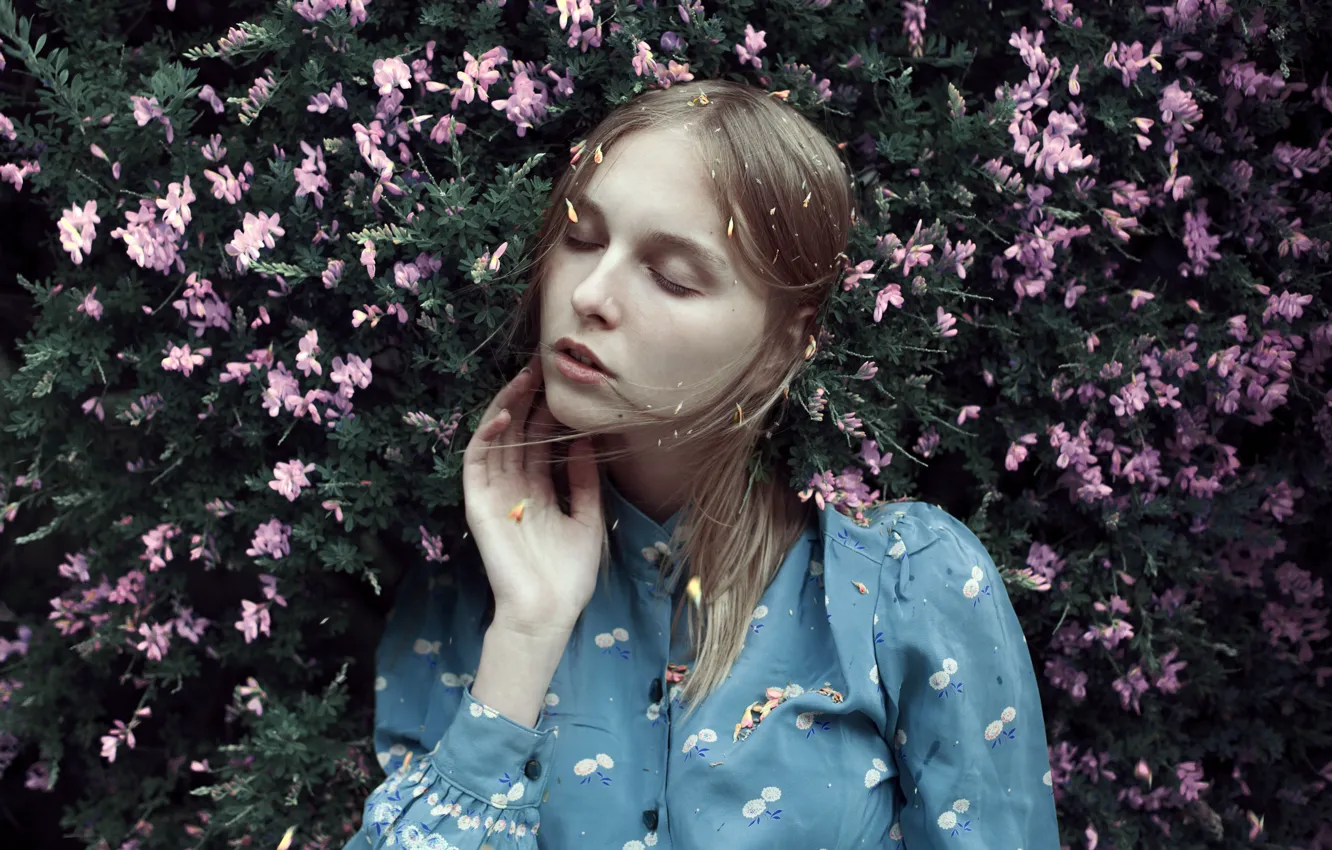Фото обои girl, flowers, lazy