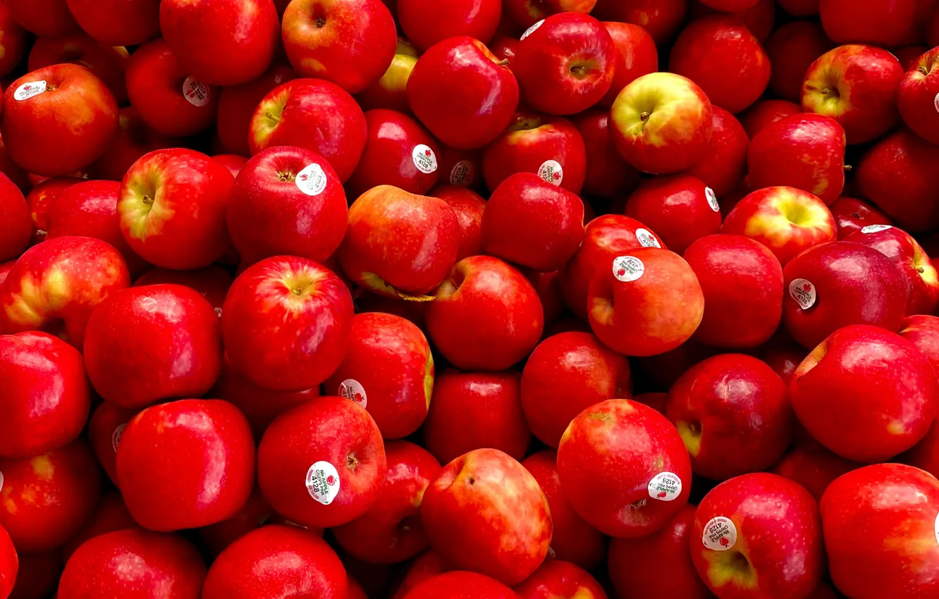 Фото обои яблоки, красные, много