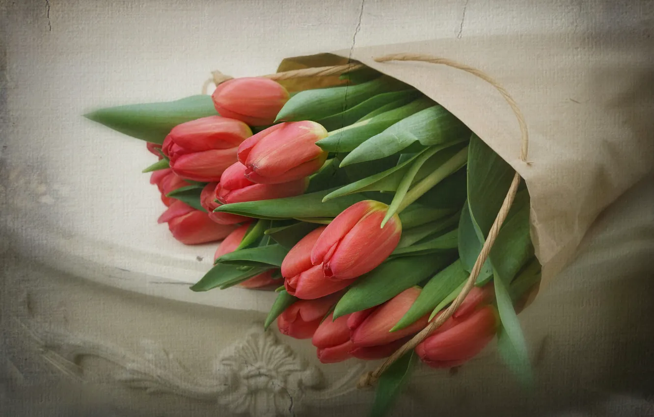 Фото обои ретро, букет, тюльпаны