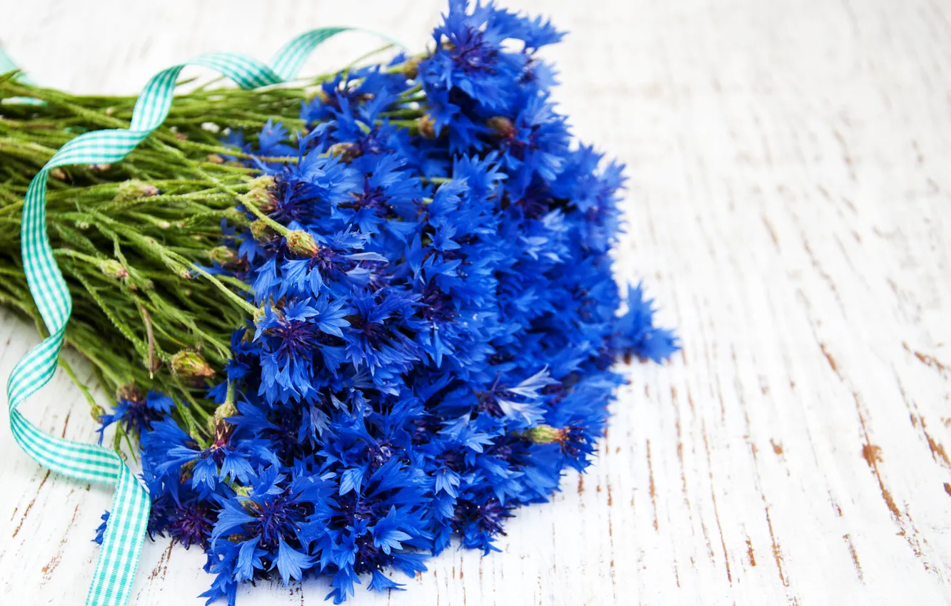 Фото обои цветы, букет, лента, синие, васильки, Olena Rudo