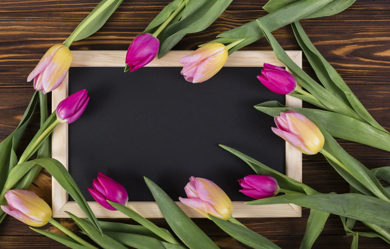 Фото обои цветы, рамка, colorful, тюльпаны, розовые, wood, pink, flowers