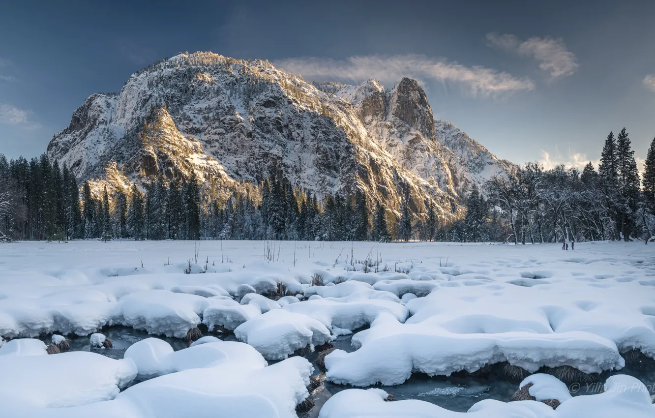 Фото обои зима, лес, снег, горы, Калифорния, California, Национальный парк Йосемити, Yosemite National Park