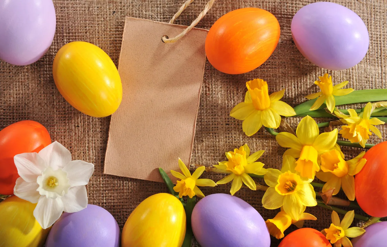 Фото обои цветы, яйца, Пасха, flowers, нарциссы, spring, Easter, eggs