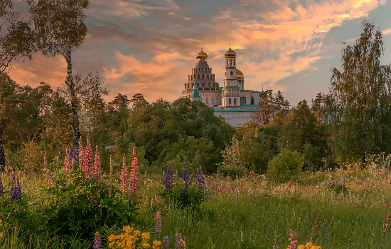 Фото обои лето, церковь, люпины