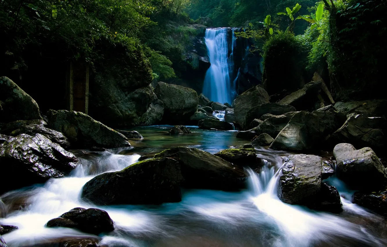 Фото обои камни, Водопад, джунгли