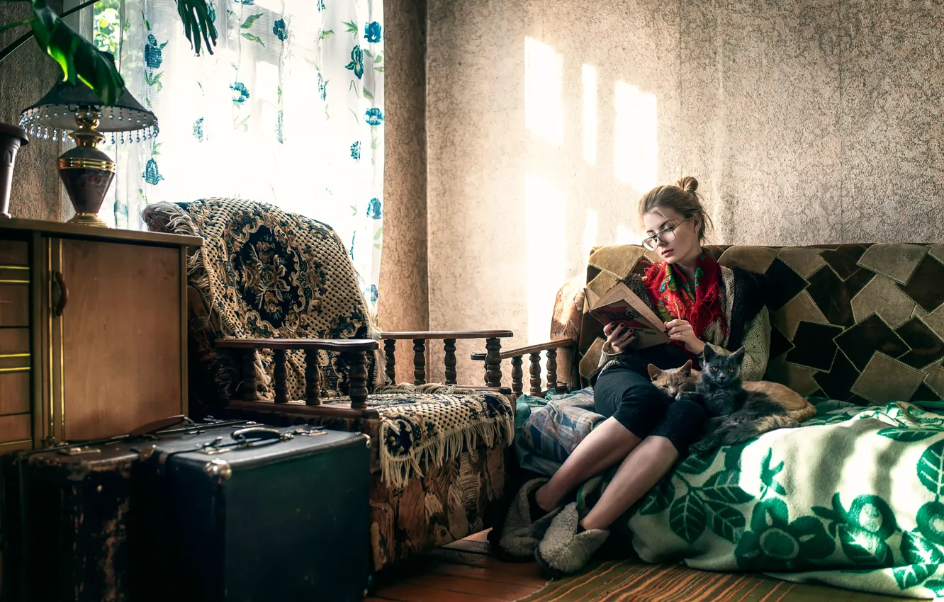 Фото обои девушка, кошки, диван, мебель, старый дом, Maxim Guselnikov, Ирина Попова, Cat Lady