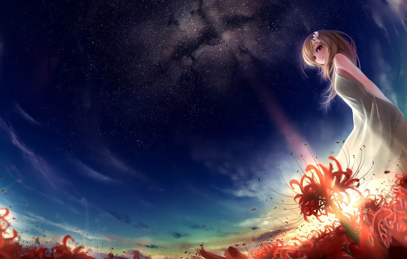 Фото обои поле, девушка, звезды, закат, цветы, арт, красные, munashichi