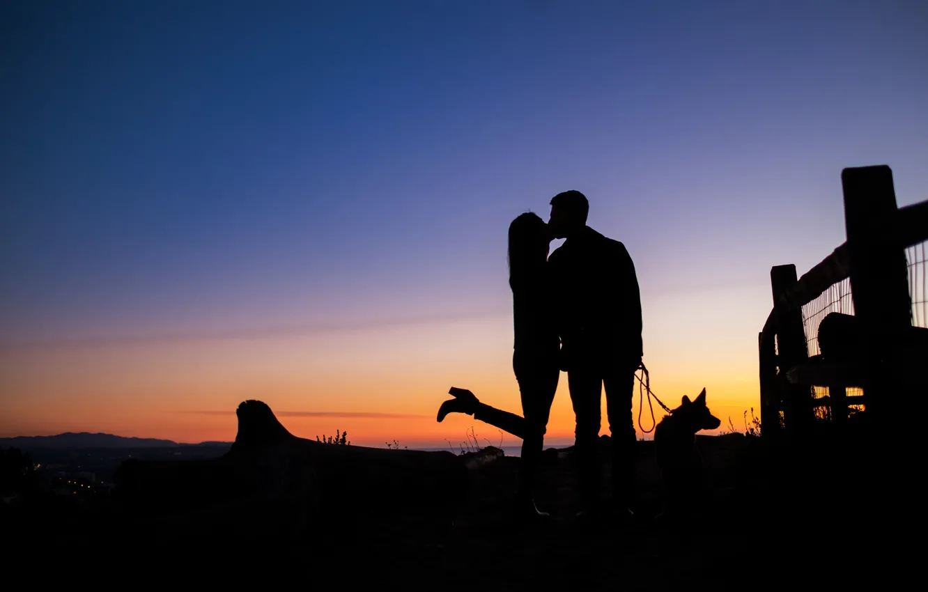 Фото обои девушка, любовь, поцелуй, собака, силуэт, мужчина, прогулка