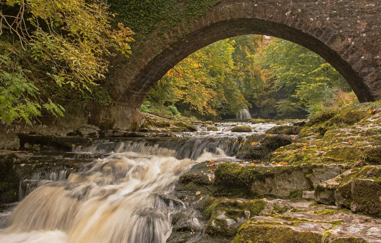 Фото обои Мост, Осень, Река, Арка