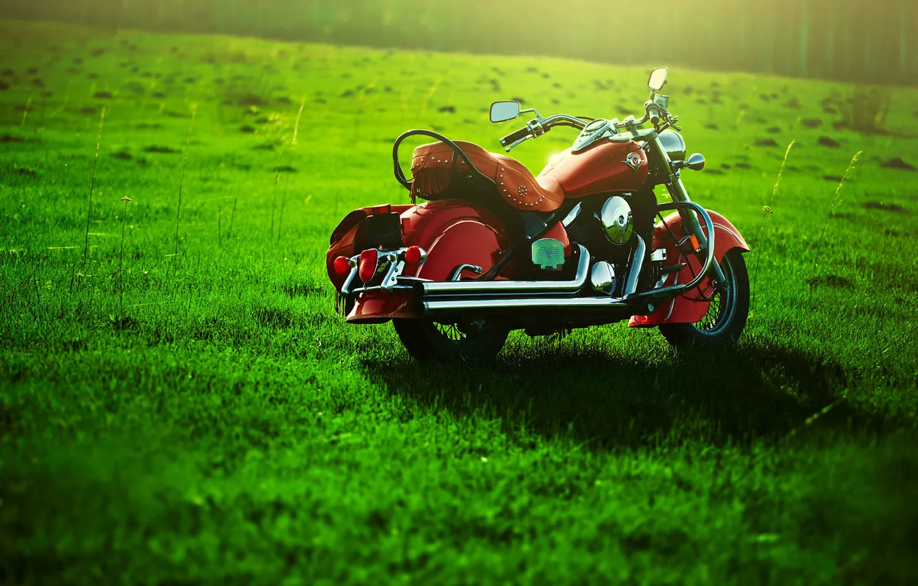 Фото обои зелень, Мотоцикл, лужайка