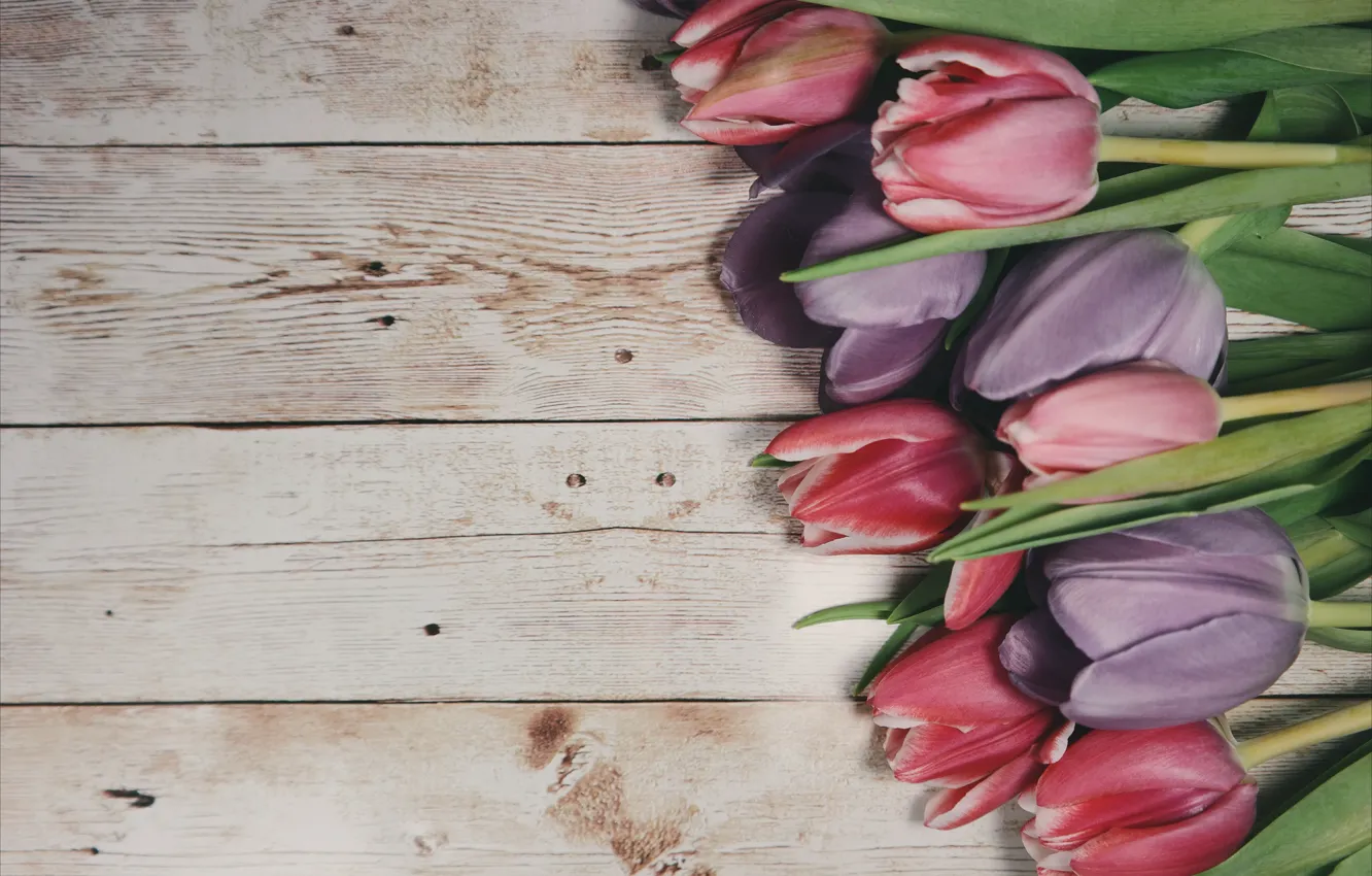 Фото обои цветы, букет, тюльпаны, wood