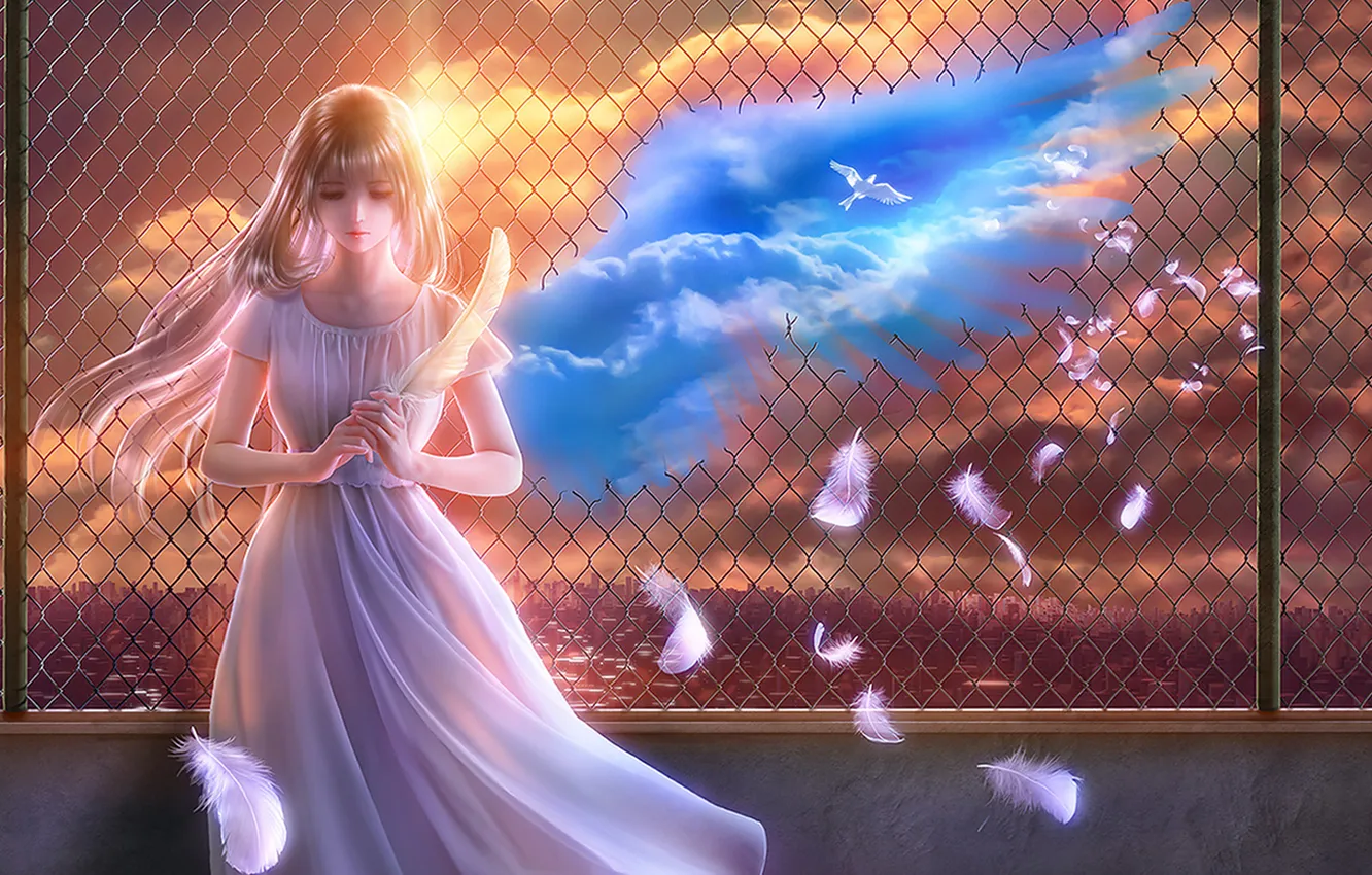 Фото обои вода, девушка, город, птица, забор, перья, крыло, Ангел
