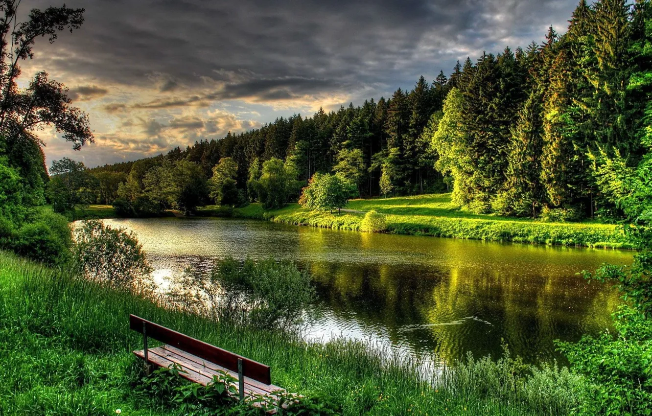 Фото обои river, landscape, clouds, bench, Forest