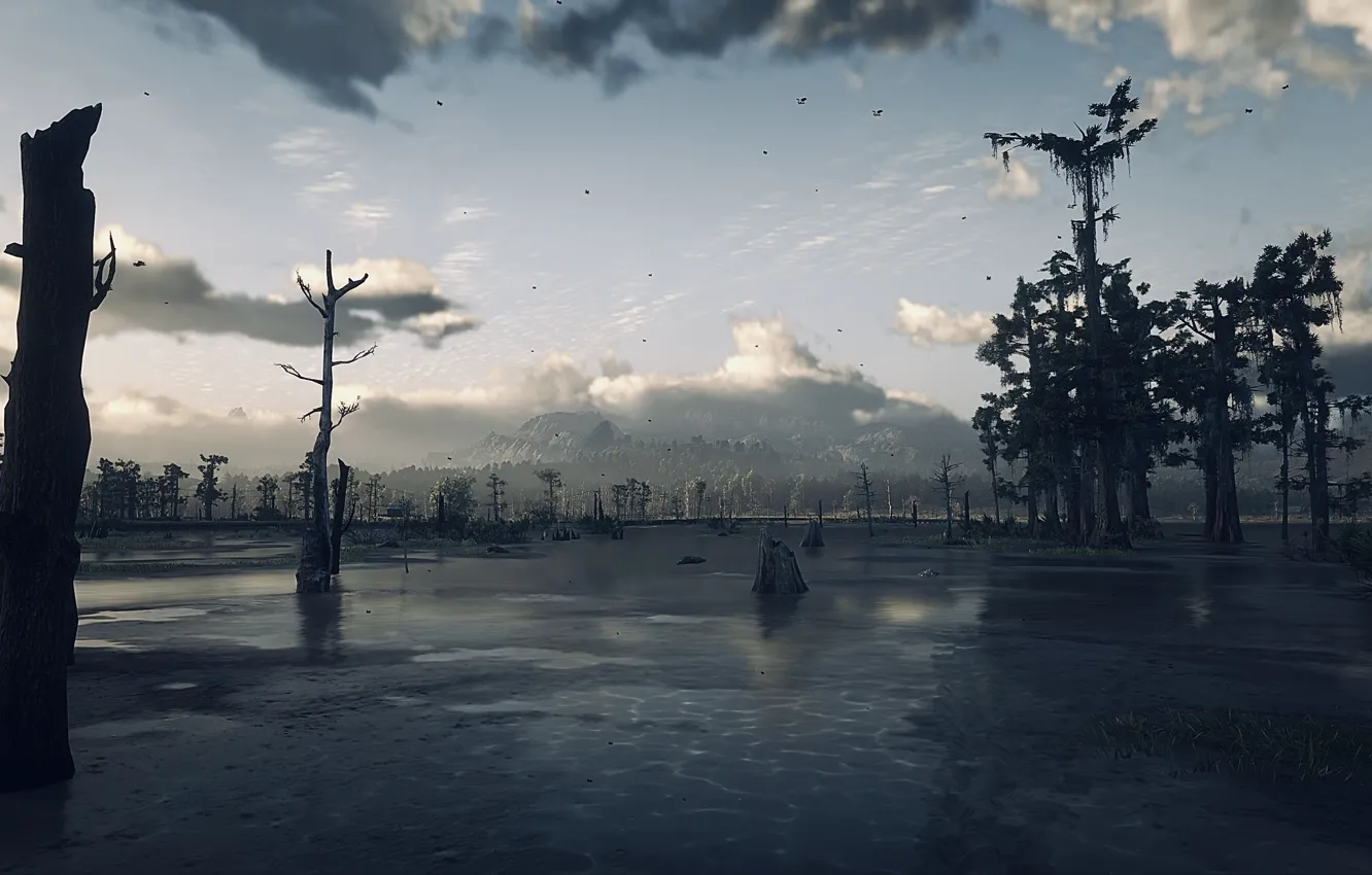 Фото обои HDR, game, trees, wood, clouds, mountain, birds, mud