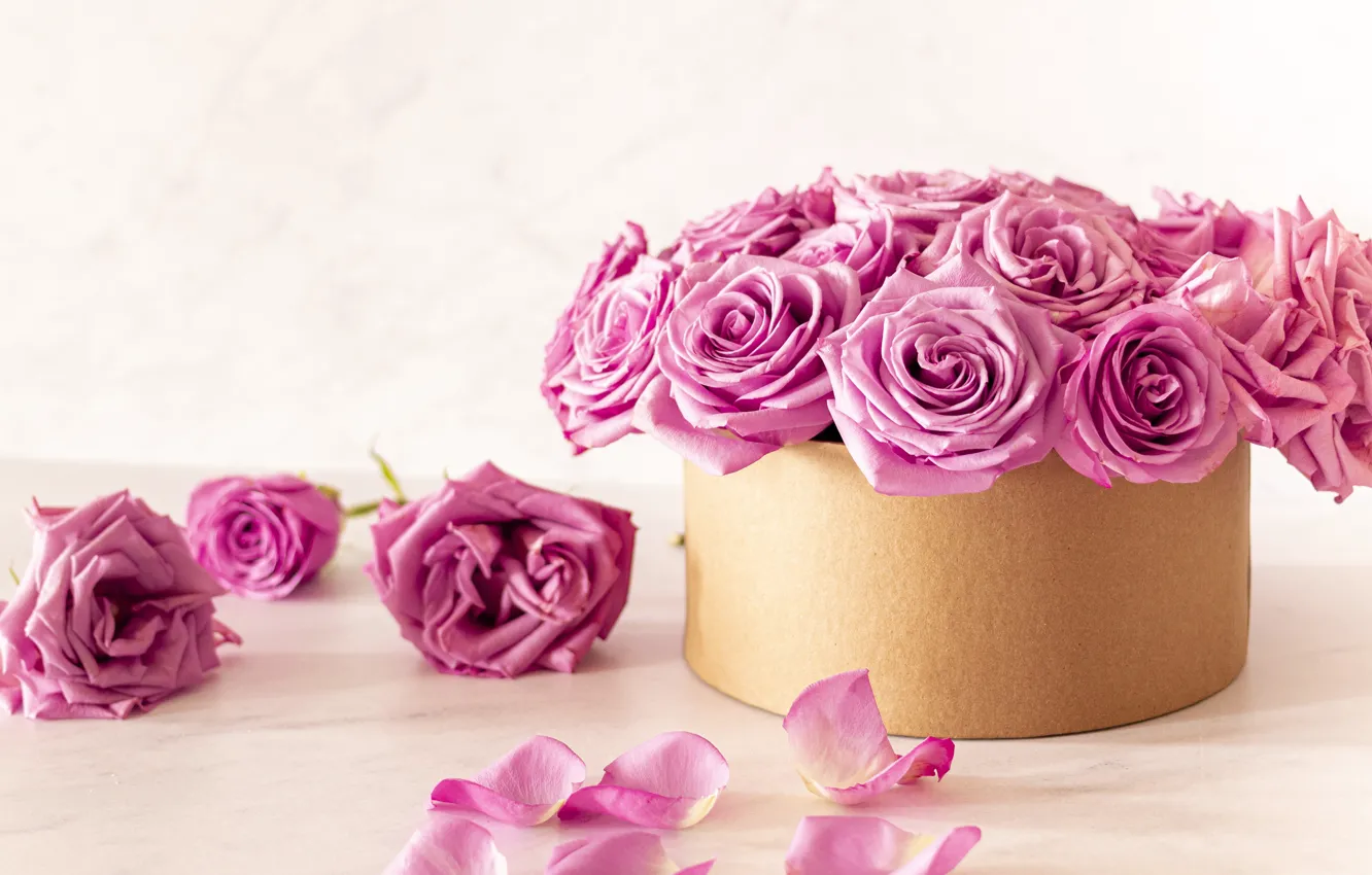 Фото обои коробка, розы, букет, лепестки, розовые