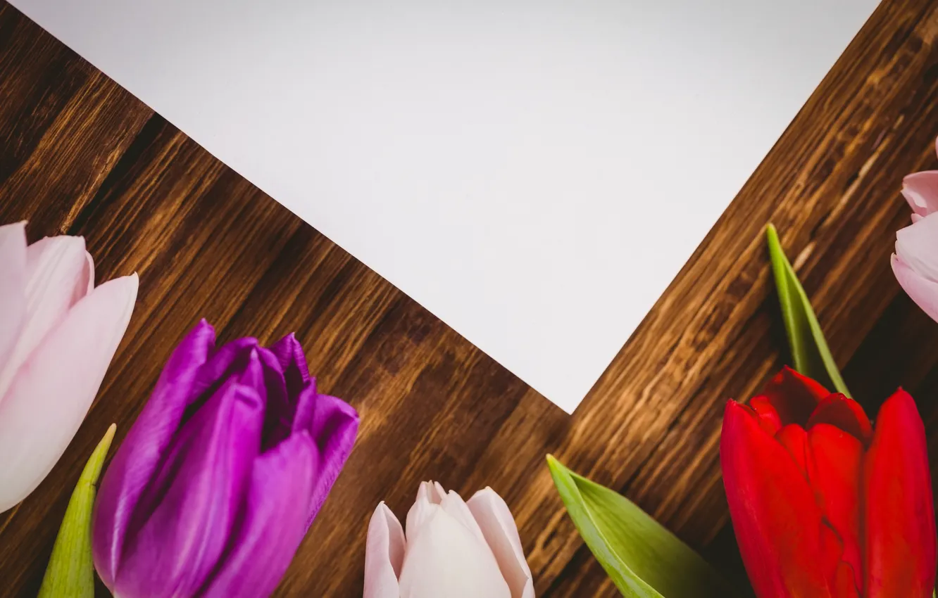 Фото обои цветы, лист, бумага, тюльпаны, бутоны, flowers, tulips, деревянный фон