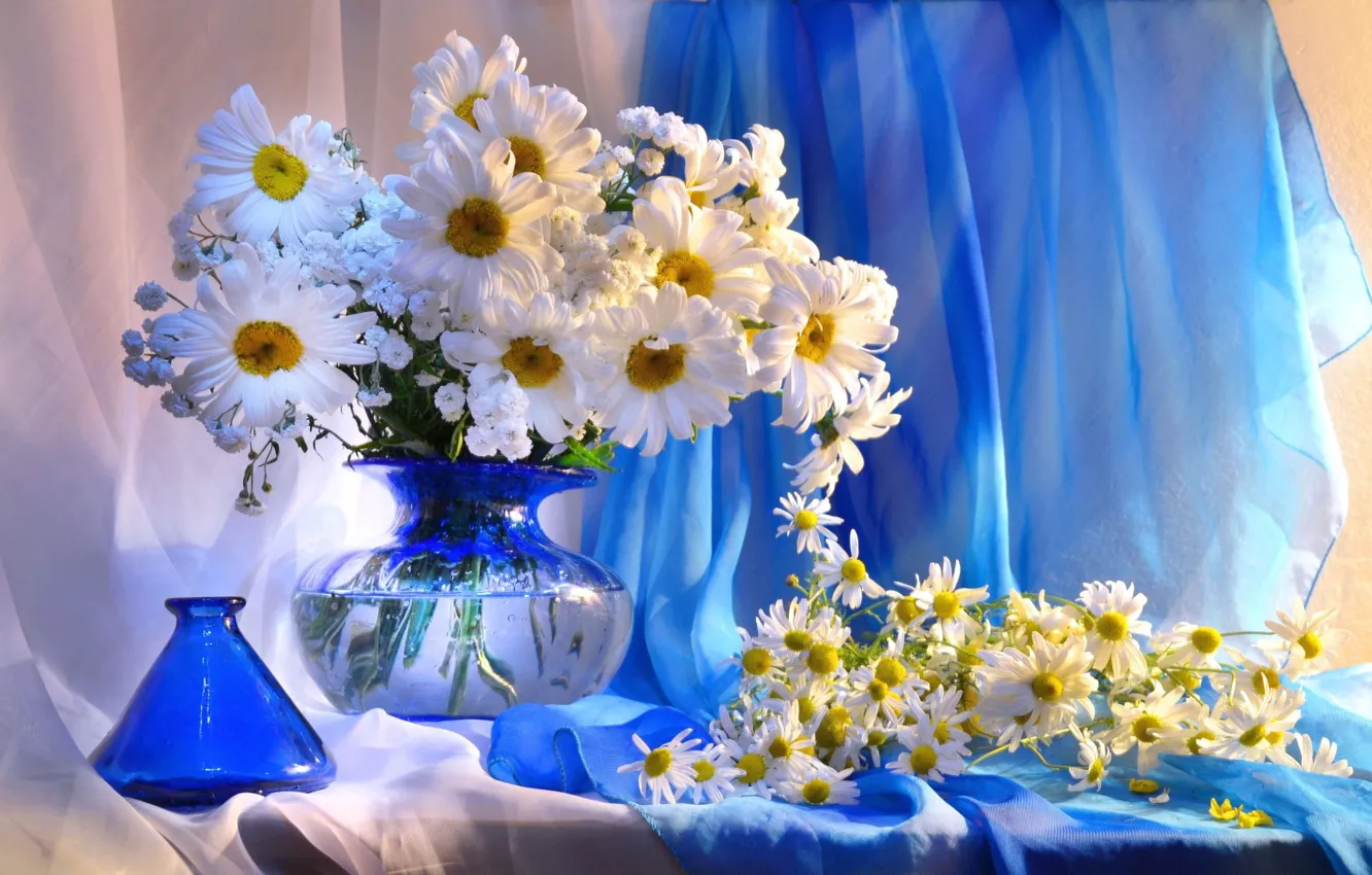 Фото обои цветы, ромашки, ваза, натюрморт