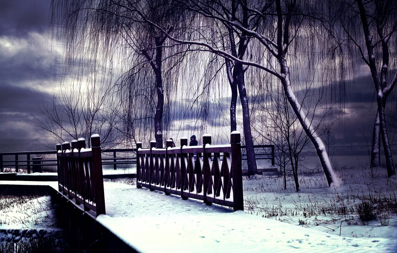 Фото обои зима, снег, пейзаж, winter, snow, scenery
