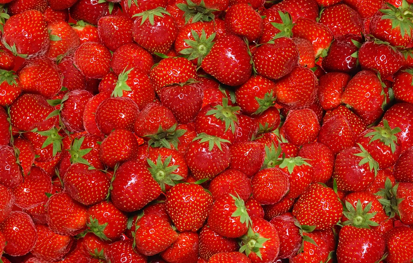 Фото обои ягоды, клубника, красные, fresh, спелая, strawberry, berries