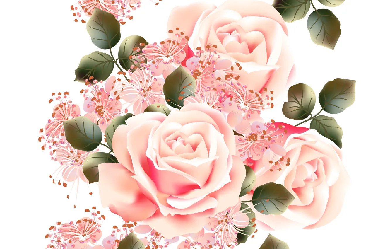 Фото обои белый, цветы, фон, розы, текстура