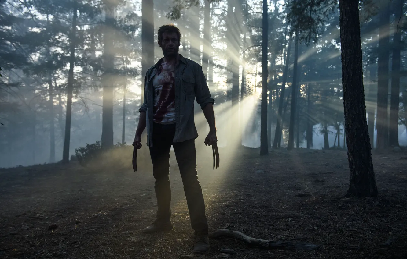 Фото обои cinema, blood, forest, Wolverine, Hugh Jackman, X-Men, Logan, man