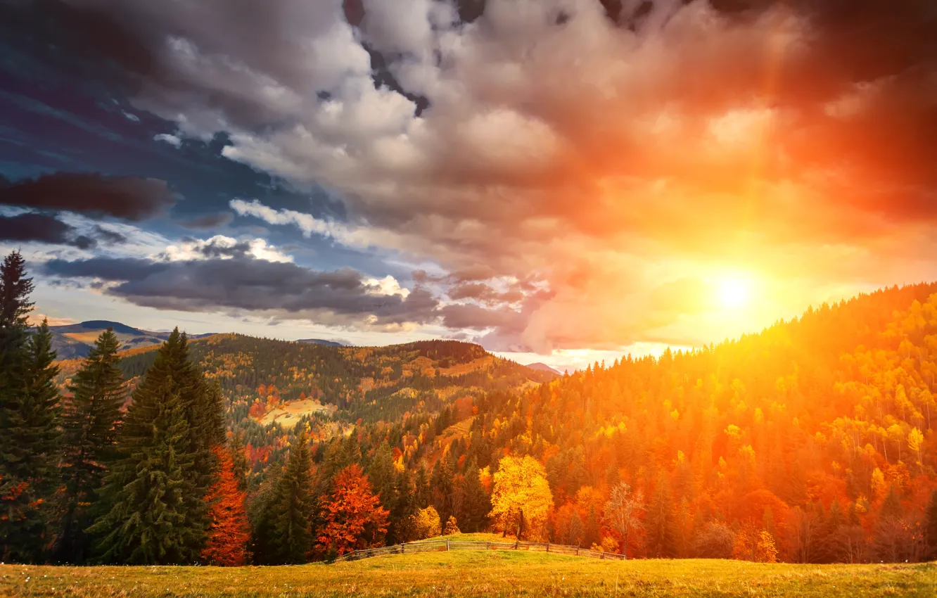 Фото обои осень, лес, небо, трава, солнце, облака, деревья, горы