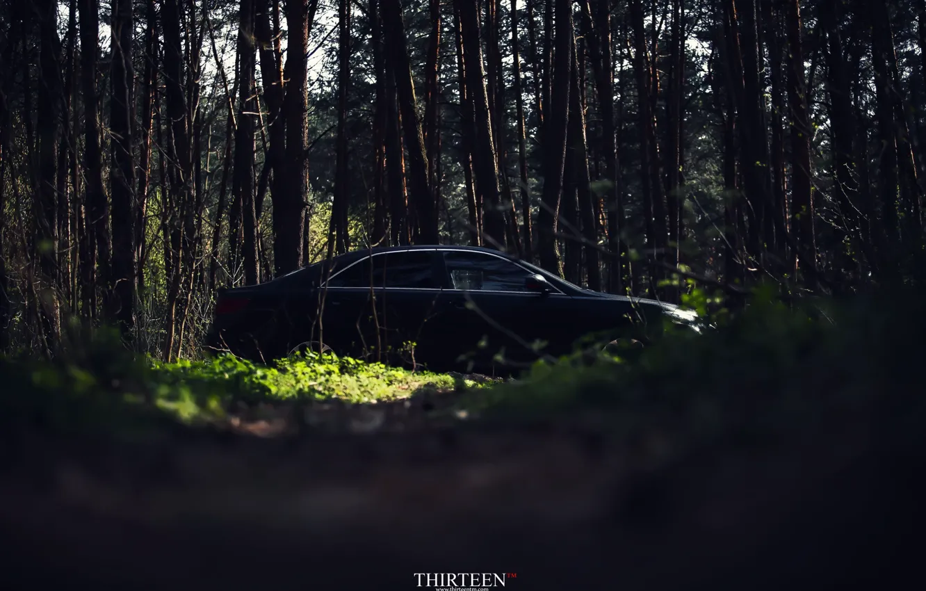 Фото обои машина, авто, лес, деревья, фотограф, auto, photography, photographer